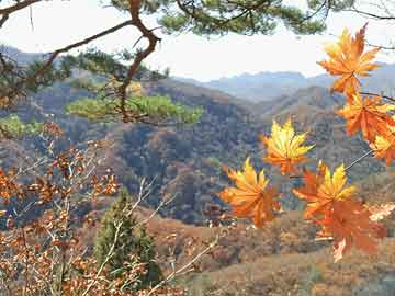 苹果手机的发展历程，苹果手机的发展之路