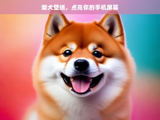 柴犬壁纸，点亮你的手机屏幕，柴犬壁纸，点亮手机屏幕的精彩