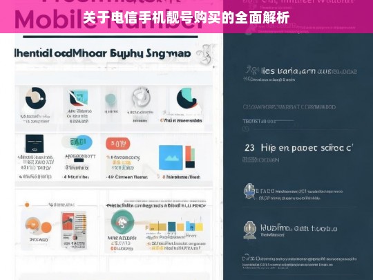 关于电信手机靓号购买的全面解析，电信手机靓号购买全解析