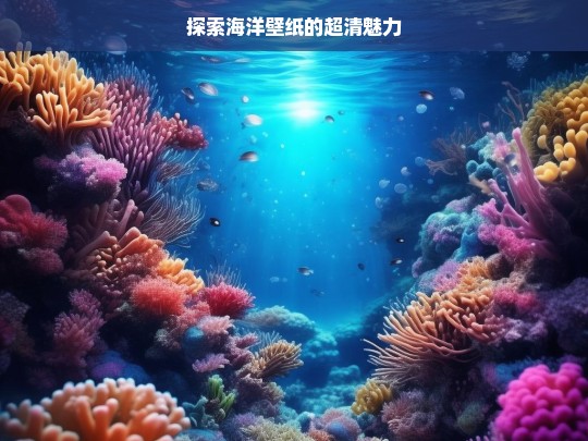 探索海洋壁纸的超清魅力，海洋壁纸超清魅力探索